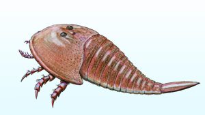 New Species of Giant Sea Scorpion Unearthed in New Mexico