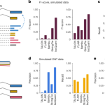 Accurate isoform discovery with IsoQuant using long reads