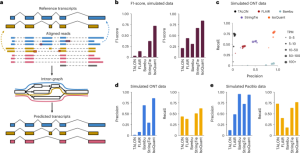 Accurate isoform discovery with IsoQuant using long reads