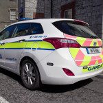 Gardaí seize six dogs in Sligo in joint operation with ISPCA