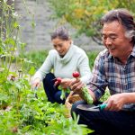 Community Gardening Could Boost Your Lifestyle and Your Health