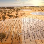 Construction of World’s Largest Radio Observatory Is Finally Under Way