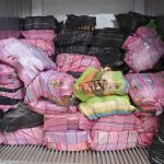 New Zealand hauls over 3 tons of cocaine from ocean