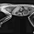 The insides of exotic creatures revealed as London Zoo showcases X-ray exhibit