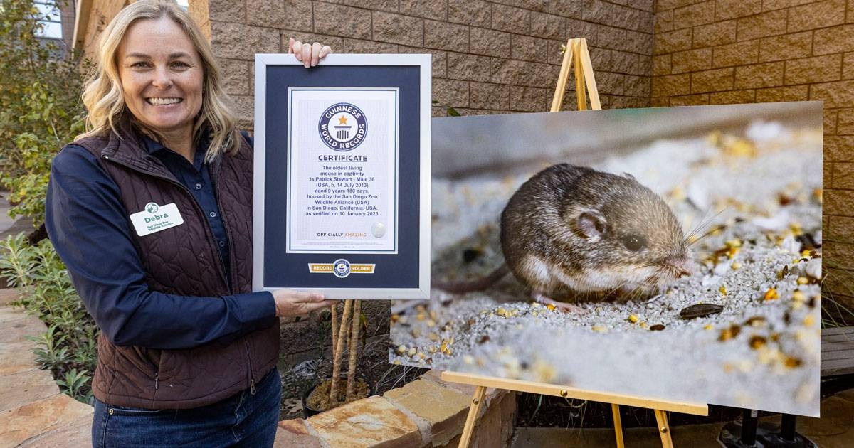 Mouse named after ‘Star Trek’ actor Patrick Stewart world’s oldest