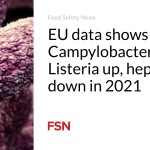 EU data shows Campylobacter and Listeria up, hepatitis A down in 2021