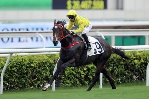 Hero to finally hit the winning Patch at Sha Tin￼