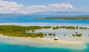 Murdered Belize environmentalist helped boost marine conservation through technology