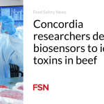 Concordia researchers design biosensors to identify toxins in beef