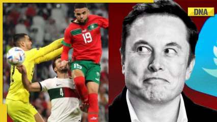 FIFA World Cup 2022: Elon Musk leads tributes as Morocco becomes first African country to reach semi-finals