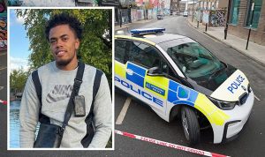 Man, 26, dies in horror double stabbing in London as police hunt killer