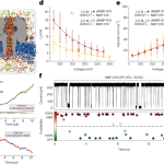 Protein identification using a digestion-free nanopore approach