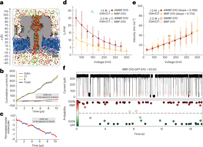 Protein identification using a digestion-free nanopore approach