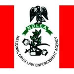 BREAKING: NDLEA arrests Popular Church Pastor for dealing Meth, Skunk [PHOTOS]