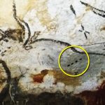 Mystery of ancient dots and stripes on Europe’s caves is solved