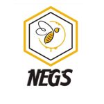 How Nigerian Startup, Negs Empire, Produces Quality Honey Using Technology, by Abbas Badmus