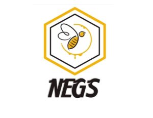 How Nigerian Startup, Negs Empire, Produces Quality Honey Using Technology, by Abbas Badmus