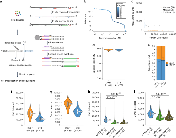 Droplet-based transcriptome profiling of individual synapses