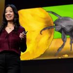 Are insect brains the secret to great AI? | Frances S. Chance