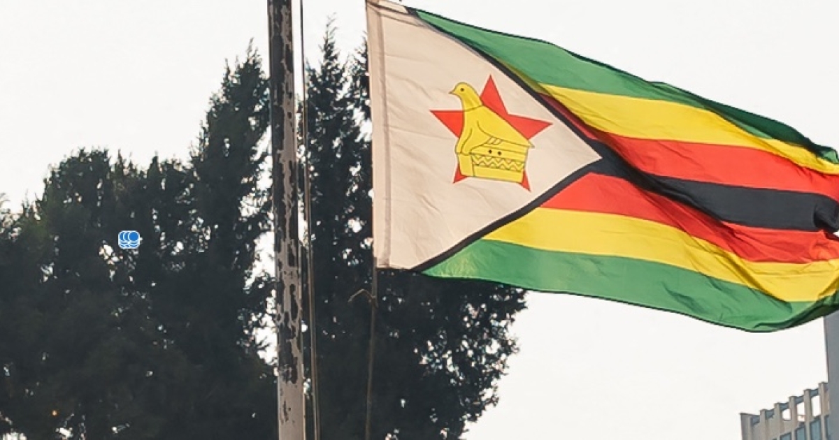 Zimbabwean government told to allow public protests