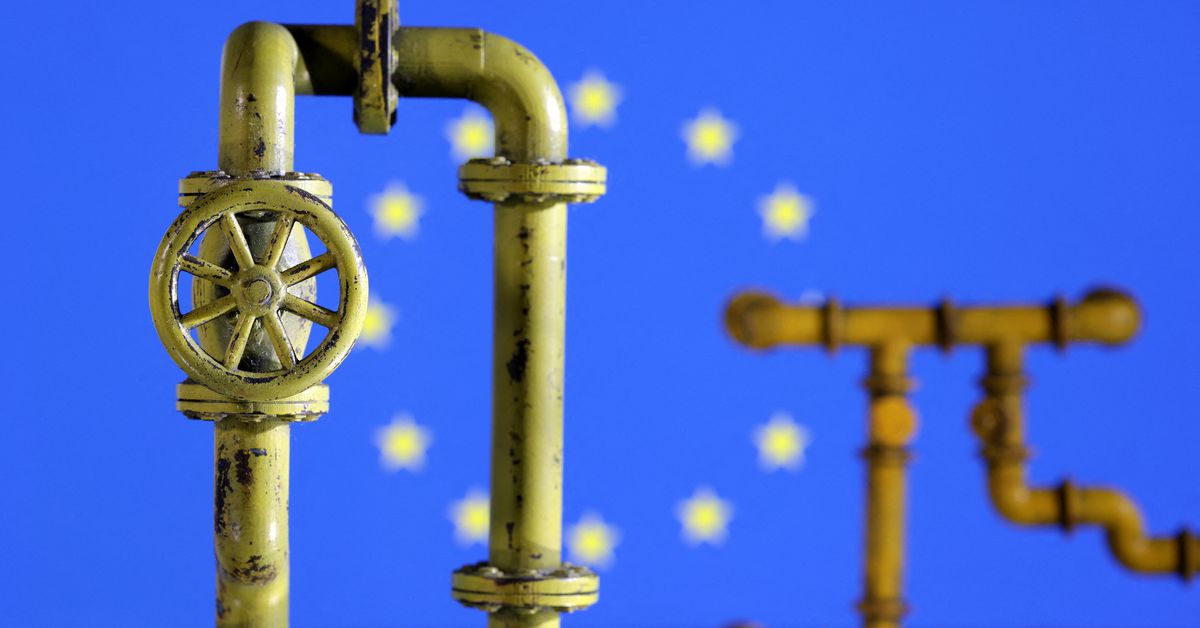 EU Commission wants first joint purchases of gas by summer