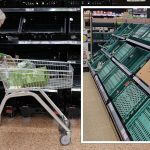 Rationing of fruit and veg in UK supermarkets to ‘last for weeks’