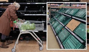 Rationing of fruit and veg in UK supermarkets to ‘last for weeks’