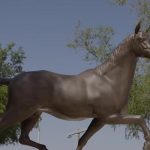 UAE: New park with statue of Sheikh Zayed’s horse opens in Abu Dhabi