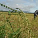 Climate change, ASF biggest challenges to food production