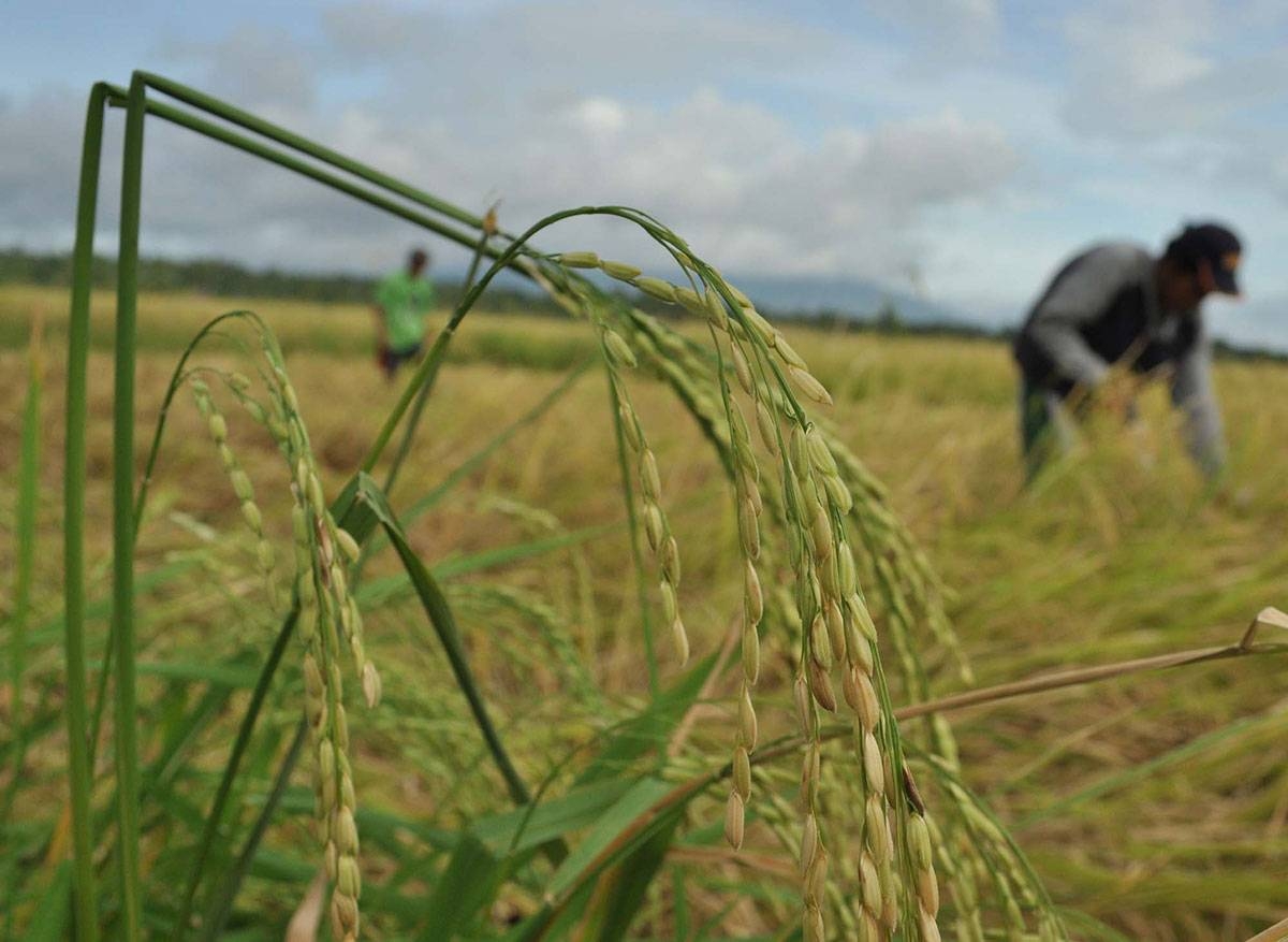 Climate change, ASF biggest challenges to food production