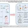 Researchers discover biomarkers that could predict future allergic conditions