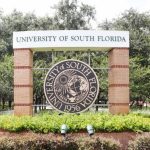 Are Florida Universities Training Therapists to Be Political Activists?