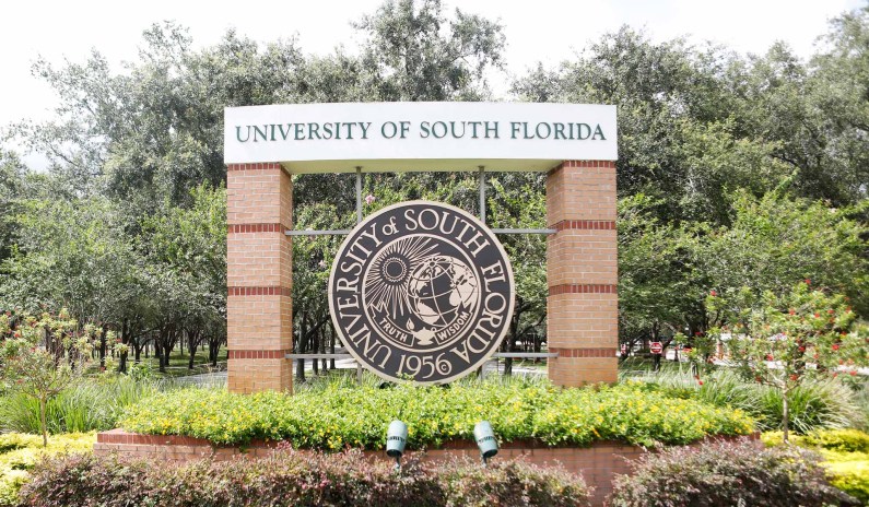 Are Florida Universities Training Therapists to Be Political Activists?