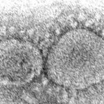 Coronavirus origins still a mystery 3 years into pandemic