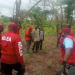 Trending hemp video: Niger LG Boss appears before NDLEA