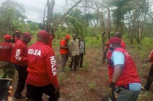 Trending hemp video: Niger LG Boss appears before NDLEA