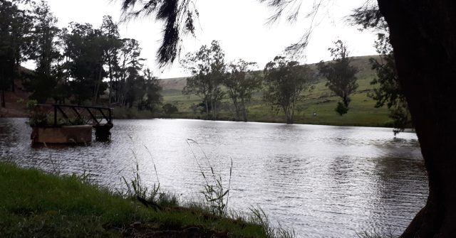 Body found in Makhanda’s Grey Dam