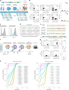 Massively parallel knock-in engineering of human T cells