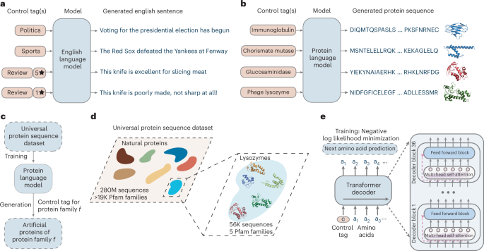 Large language models generate functional protein sequences across diverse families