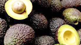 How Hass Avocado Can Rake In Over N12bn Annually For Nigeria’s Economy, Says Sola-Bunmi 