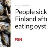 People sick in Finland after eating oysters