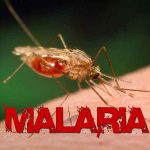 We are working on ensuring sustainable funding for malaria —Oyo govt