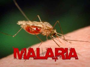 We are working on ensuring sustainable funding for malaria —Oyo govt