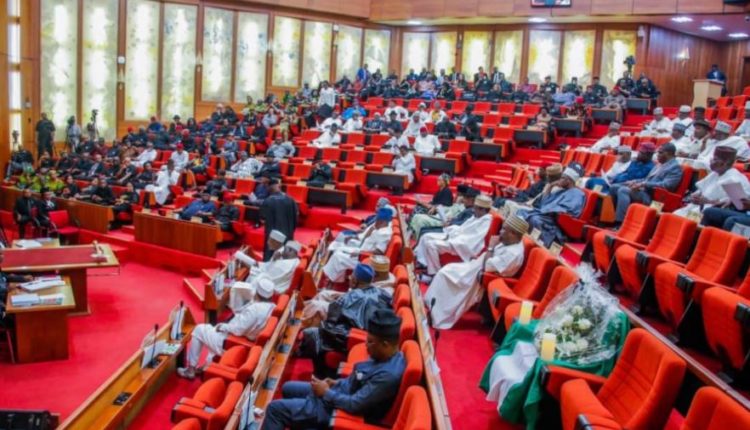 Borrowing: Senate goes hard on revenue generating agencies 