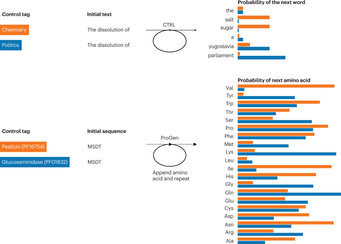 Hallucinating functional protein sequences