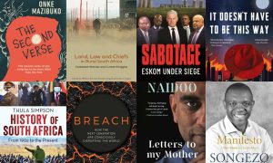 FROM THE ARCHIVE: Catch up on these excellent South African reads from the past year