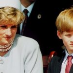 Prince Harry convinced himself Princess Diana faked her death and was in hiding