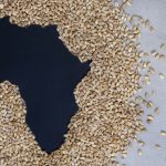 Zero Hunger in Africa is within reach: Actionable goal or fleeting NY Resolution?