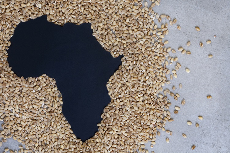 Zero Hunger in Africa is within reach: Actionable goal or fleeting NY Resolution?