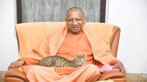 Yogi Adityanath posts photo with cat on his lap, says ‘even animals can tell between friends and foes’